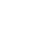 White SDL icon