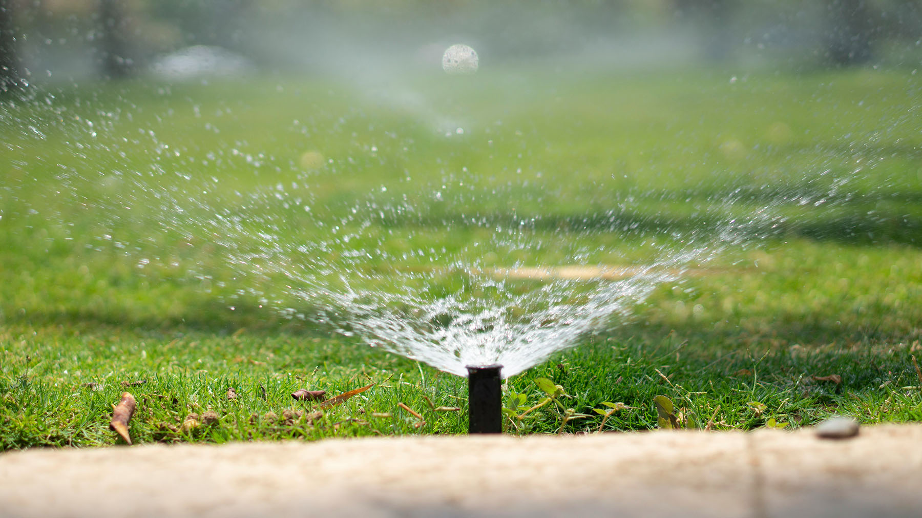 pop-up-sprinkler-heads